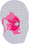 Bundesverband der Clusterkopfschmerz-Selbsthilfe-Gruppen (CSG) e. V.