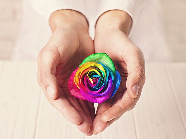 Bild Spenden, 2 Hände halten eine bunt gefärbte Rose