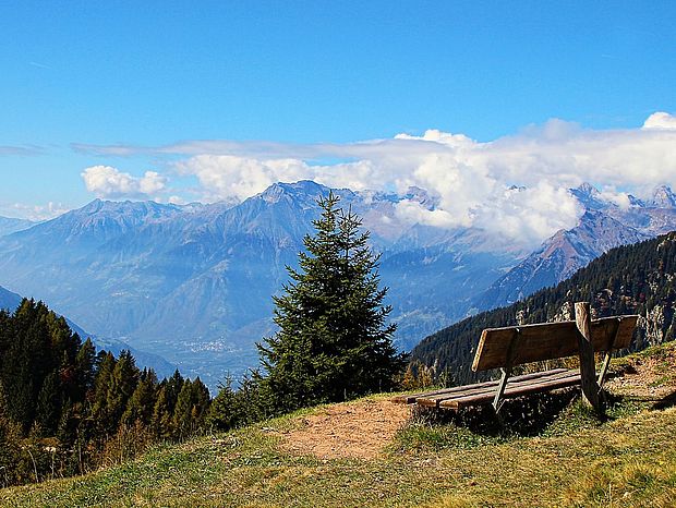Bild Berlandschaft mit grüner Wiese, Sitzbank im Vordergrund, im Hintergrund Berge und Himmel