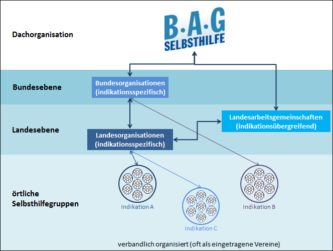Strukturen der Selbsthilfe-Vereinigungen in Deutschland von den Selbsthilfegruppen bis zur Dachorganisation, BAG SELBSTHILFE e.V.