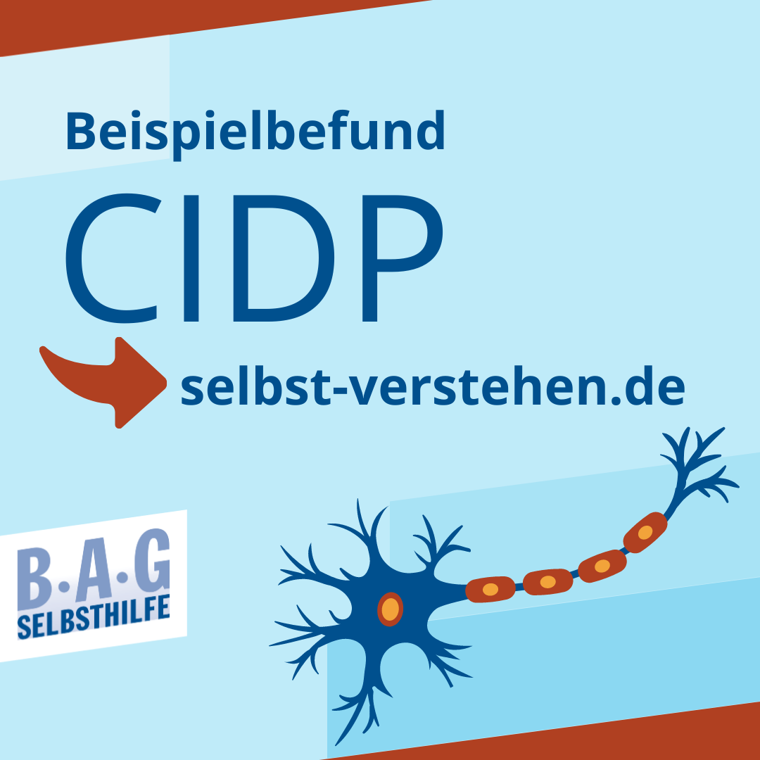 Hellblauer Hintergrund auf dem ein Nervenstrang abgebildet ist. Daneben dunkelblauer Text: Beispielbefund CIDP auf selbst-verstehen.de